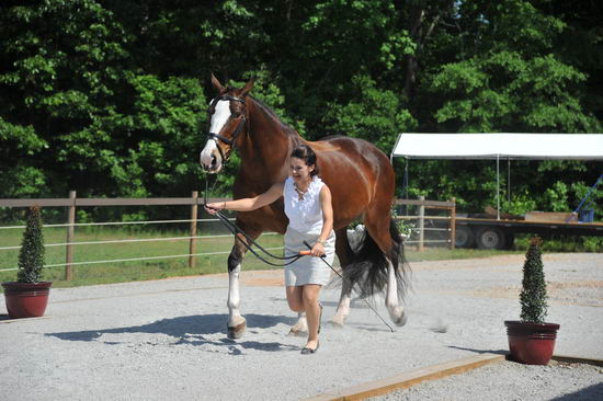 So8ths-5-3-12-1stJog-2116-KindellBillingsley-Keeneland-N3D-DDeRosaPhoto