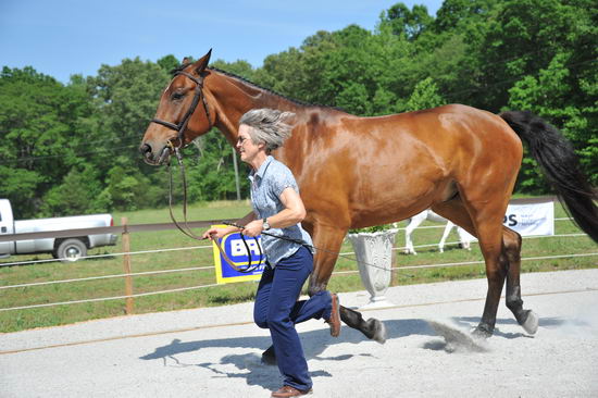 So8ths-5-3-12-1stJog-2124-BeckyBrown-TotallyBroke-N3D-DDeRosaPhoto