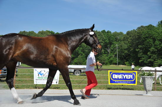 So8ths-5-3-12-1stJog-2131-SarahMorton-Womble-N3D-DDeRosaPhoto