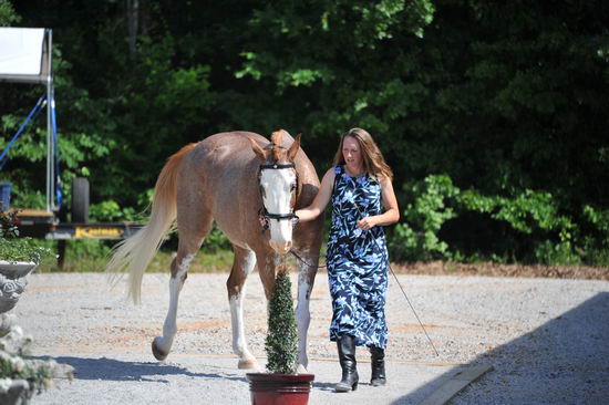 So8ths-5-3-12-1stJog-2186-BrianaTimmerman-ASplashofHenry-N3D-DDeRosaPhoto