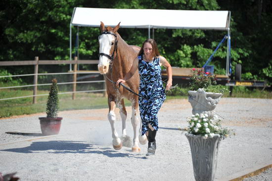 So8ths-5-3-12-1stJog-2187-BrianaTimmerman-ASplashofHenry-N3D-DDeRosaPhoto