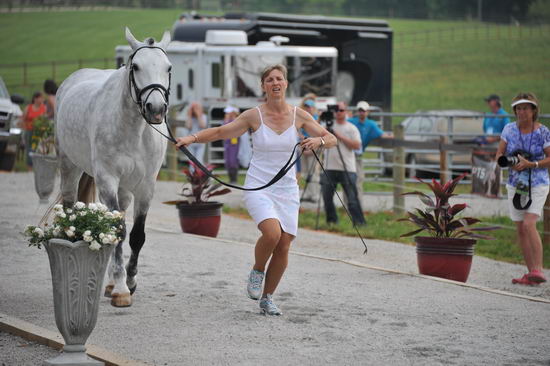 So8ths-5-6-12-SJDay-4211-MicheleLobsinger-GlenlarasPride-N3D-DDeRosaPhoto