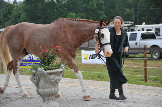 So8ths-5-6-12-SJDay-4228-BrianaTimmerman-ASplashofHenry-N3D-DDeRosaPhoto