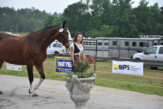 So8ths-5-6-12-SJDay-4234-KindellKillingsley-Keeneland-N3D-DDeRosaPhoto