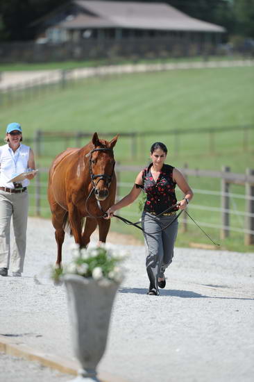 So8ths-5-3-12-1stJog-0172-TR-DDeRosaPhoto