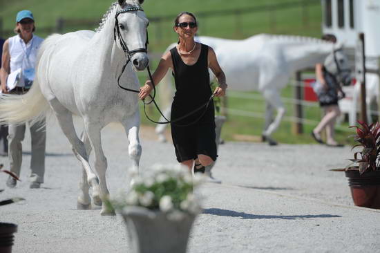 So8ths-5-3-12-1stJog-0194-CathyBlackmon-HideawaysSpecialDelivery-TR-DDeRosaPhoto