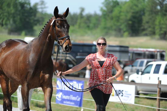 So8ths-5-3-12-1stJog-0211-LindsayStaianoWilliams-TriumphII-TR-DDeRosaPhoto