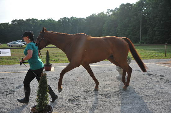 So8ths-5-6-12-SJDay-4133-KerryTracey-BourbonGingerbear-T3D-DDeRosaPhoto