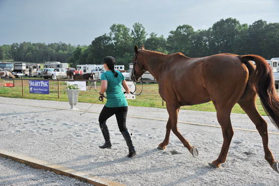 So8ths-5-6-12-SJDay-4134-KerryTracey-BourbonGingerbear-T3D-DDeRosaPhoto