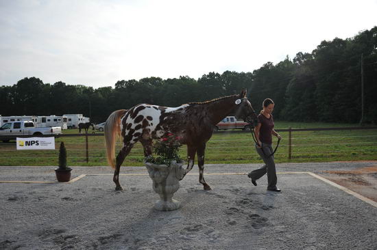 So8ths-5-6-12-SJDay-4142-JordanLambert-RioWild-T3D-DDeRosaPhoto