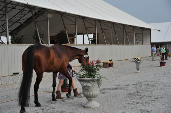 So8ths-5-6-12-SJDay-4168-AllieKeresman-MysticDora-T3D-DDeRosaPhoto