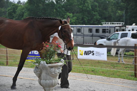 So8ths-5-6-12-SJDay-4172-BonnieMosser-Isbond-T3D-DDeRosaPhoto