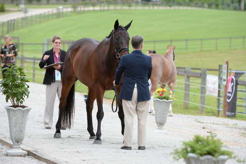 So8ths-5-2-13-Clinics-4670-DDeRosaPhoto