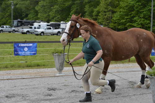 So8ths-5-2-13-Clinics-6625-DDeRosaPhoto