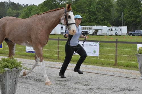 So8ths-5-2-13-Clinics-6642-DDeRosaPhoto