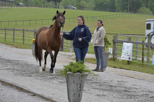 So8ths-5-2-13-Clinics-6686-DDeRosaPhoto