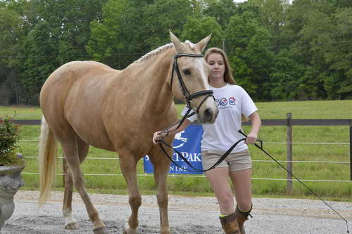 So8ths-5-2-13-Clinics-6711-DDeRosaPhoto