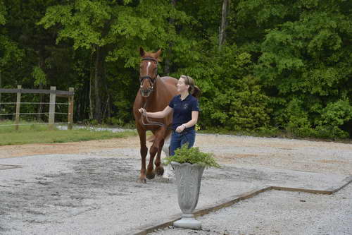 So8ths-5-2-13-Clinics-6734-DDeRosaPhoto