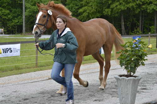 So8ths-5-2-13-Clinics-6744-DDeRosaPhoto