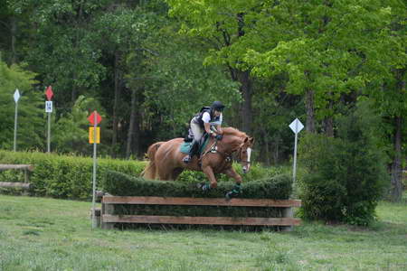 So8ths-5-4-13-XC-7063-CarolMahoney-MercuryRising-DDeRosaPhoto