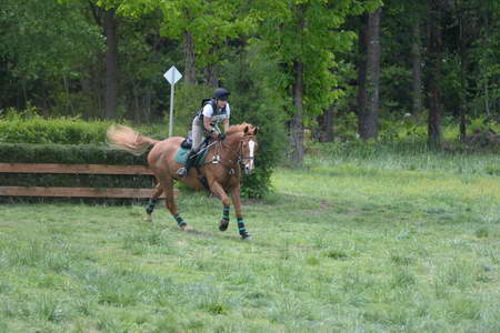 So8ths-5-4-13-XC-7066-CarolMahoney-MercuryRising-DDeRosaPhoto