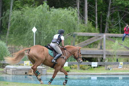 So8ths-5-4-13-XC-7079-CarolMahoney-MercuryRising-DDeRosaPhoto