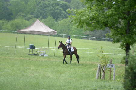 So8ths-5-4-13-XC-6514-MannyDiemer-Krugerrand-DDeRosaPhoto