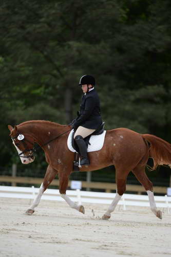 So8ths-5-3-13-Dressage-5334-ErinHite-Codachrome-DDeRosaPhoto