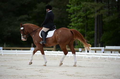 So8ths-5-3-13-Dressage-5343-ErinHite-Codachrome-DDeRosaPhoto