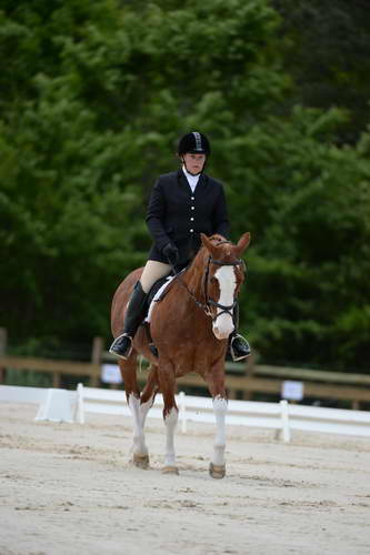 So8ths-5-3-13-Dressage-5353-ErinHite-Codachrome-DDeRosaPhoto