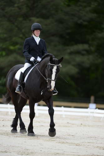 So8ths-5-3-13-Dressage-5363-LauraWellbaum-OhSullivan-DDeRosaPhoto