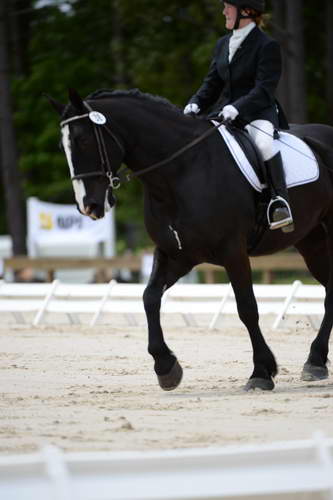 So8ths-5-3-13-Dressage-5387-LauraWellbaum-OhSullivan-DDeRosaPhoto