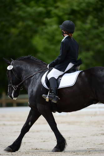 So8ths-5-3-13-Dressage-5391-LauraWellbaum-OhSullivan-DDeRosaPhoto