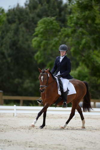 So8ths-5-3-13-Dressage-5415-SaraMiles-Misty'sRainDrop-DDeRosaPhoto