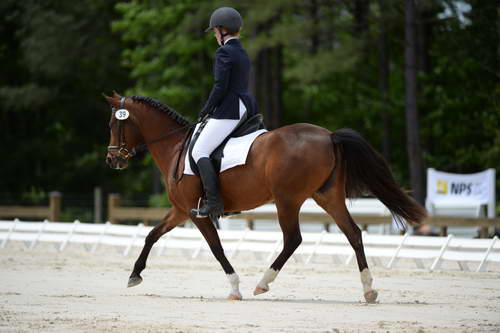 So8ths-5-3-13-Dressage-5419-SaraMiles-Misty'sRainDrop-DDeRosaPhoto