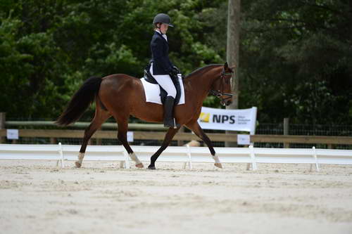 So8ths-5-3-13-Dressage-5420-SaraMiles-Misty'sRainDrop-DDeRosaPhoto