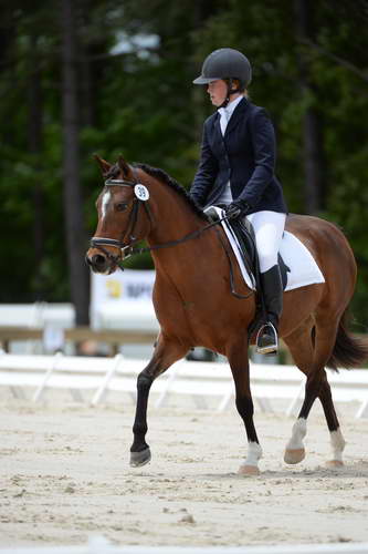 So8ths-5-3-13-Dressage-5422-SaraMiles-Misty'sRainDrop-DDeRosaPhoto