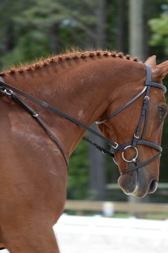 So8ths-5-3-13-Dressage-5440-PaitonKeen-WorthTheWait-DDeRosaPhoto