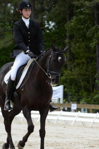 So8ths-5-3-13-Dressage-5524-KaylaAugust-MadamMayhem-DDeRosaPhoto