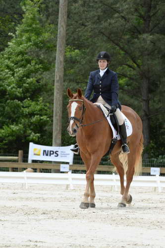 So8ths-5-3-13-Dressage-5549-CarolMahoney-MercuryRising-DDeRosaPhoto