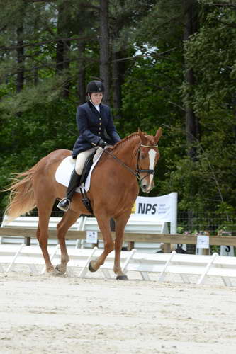 So8ths-5-3-13-Dressage-5560-CarolMahoney-MercuryRising-DDeRosaPhoto