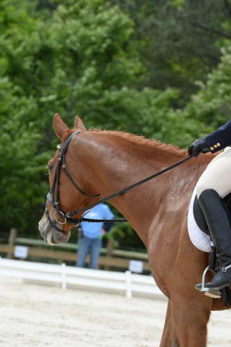 So8ths-5-3-13-Dressage-5568-CarolMahoney-MercuryRising-DDeRosaPhoto