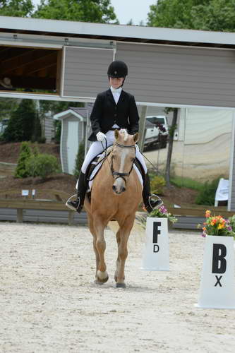 So8ths-5-3-13-Dressage-5572-TaylorPence-Goldie-DDeRosaPhoto