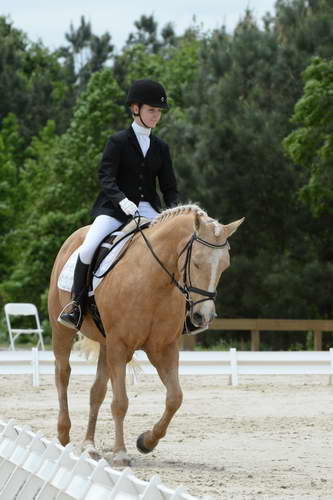 So8ths-5-3-13-Dressage-5578-TaylorPence-Goldie-DDeRosaPhoto