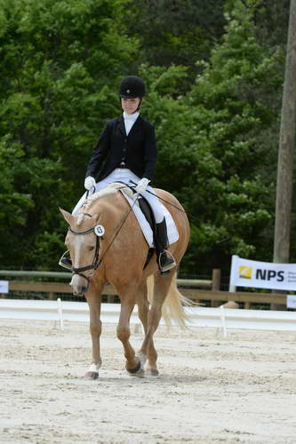 So8ths-5-3-13-Dressage-5591-TaylorPence-Goldie-DDeRosaPhoto