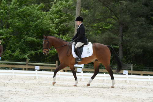 So8ths-5-3-13-Dressage-5632-CatiePannill-KokoaKat-DDeRosaPhoto