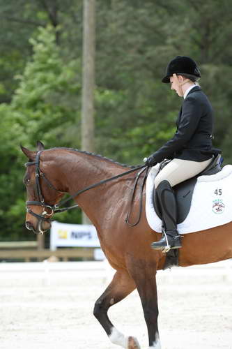 So8ths-5-3-13-Dressage-5642-CatiePannill-KokoaKat-DDeRosaPhoto