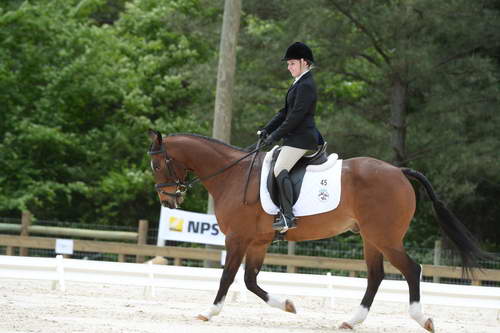 So8ths-5-3-13-Dressage-5650-CatiePannill-KokoaKat-DDeRosaPhoto