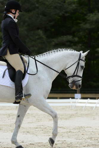 So8ths-5-3-13-Dressage-5678-Kaitlyferrell-BeyondTheLimits-DDeRosaPhoto
