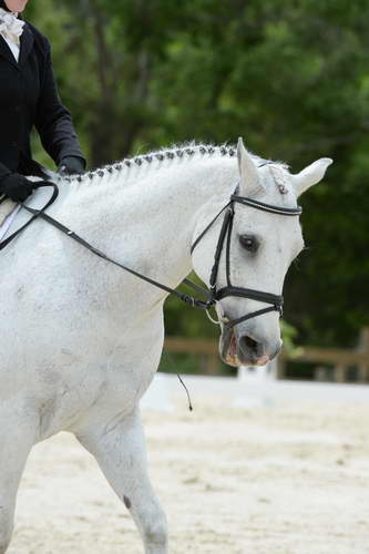 So8ths-5-3-13-Dressage-5695-Kaitlyferrell-BeyondTheLimits-DDeRosaPhoto